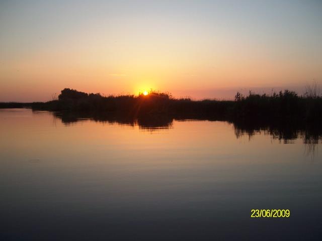 delta rosu 2009 - sany6797.JPG